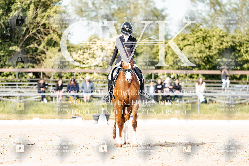 CK900281 | Turnierfotografie Pferdefotografie Trier Rheinland-Pfalz Pferdesport Reitsport Tierfotografie Sportfotografie Pferdevideo Pferdevideografie Equestrianvideography equestrianphotography  - Realisiert mit Pictrs.com