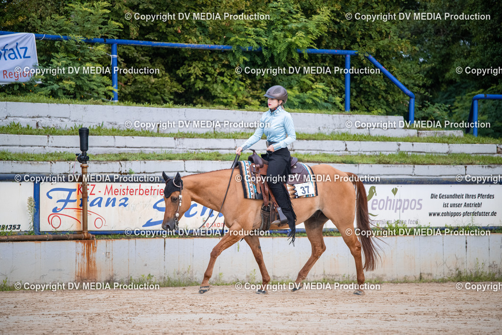 ZS3_4468 | dv-media-shop - Realisiert mit Pictrs.com