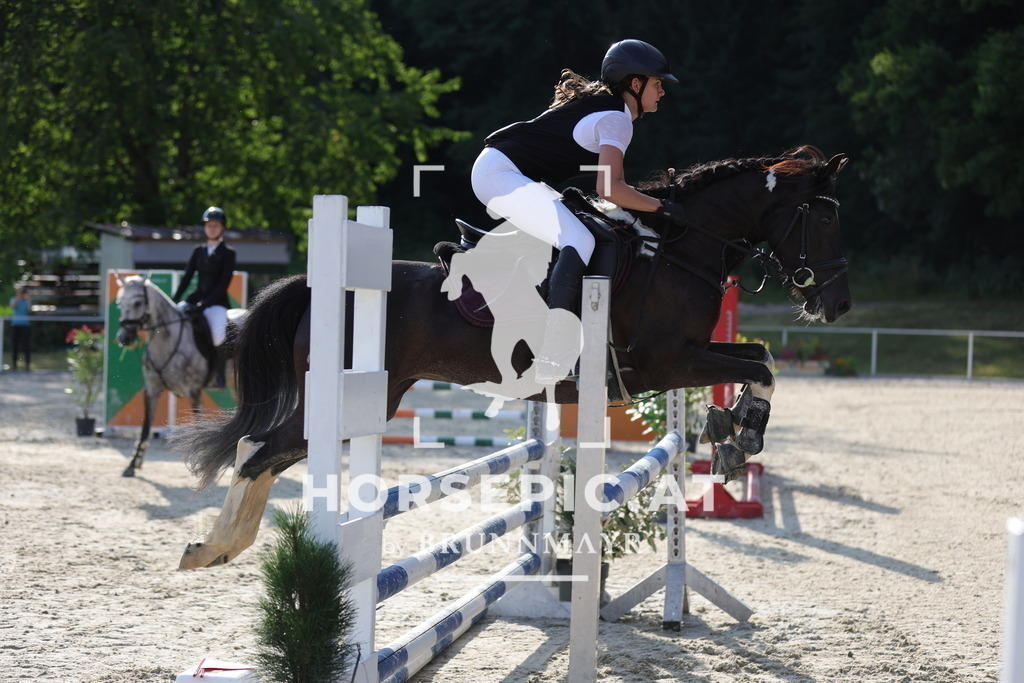 0P6A6552 | Willkommen bei Brunnmayr - Design & Fotografie – Ihrem Spezialisten für Reitturniere und Pferdeveranstaltungen in Oberösterreich, Salzburg und Bayern! Seit über 17 Jahren sind wir leidenschaftlich dabei.