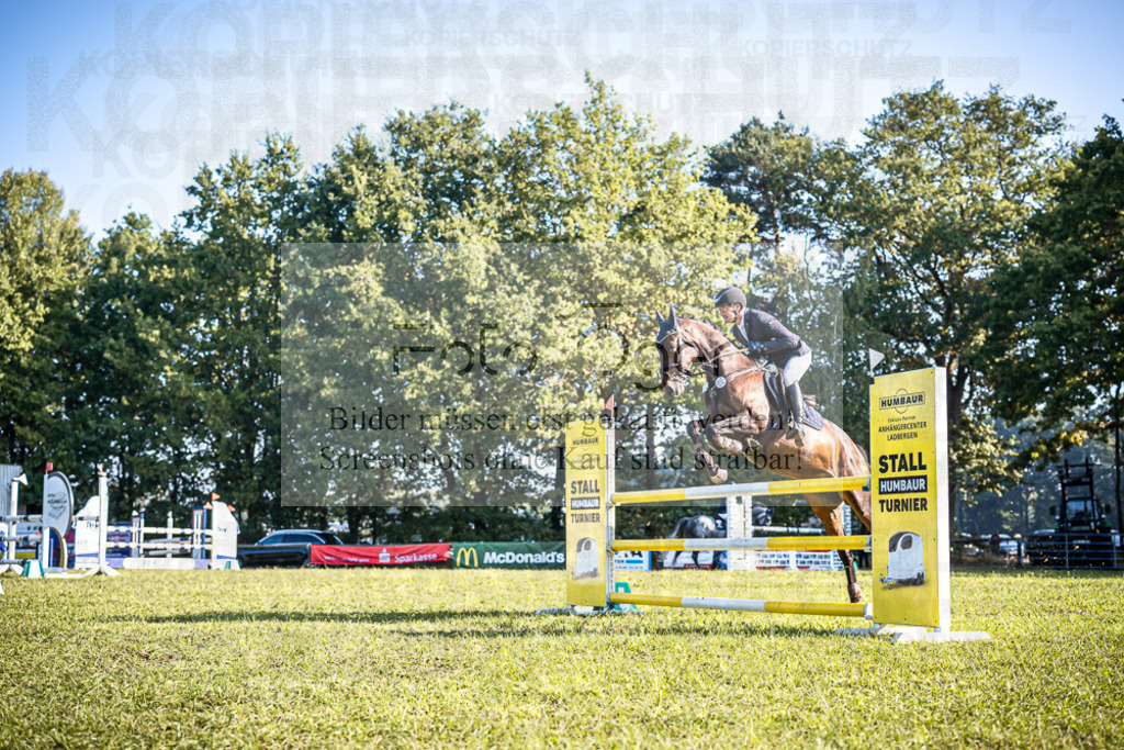 Z63_0041 | Entdecke hochwertige Reitturnierfotos von Foto Oger. Professionell, emotional und authentisch – jetzt Lieblingsmomente im Shop bestellen.Deutschlandweite Turnierfotografie. - Realisiert mit Pictrs.com