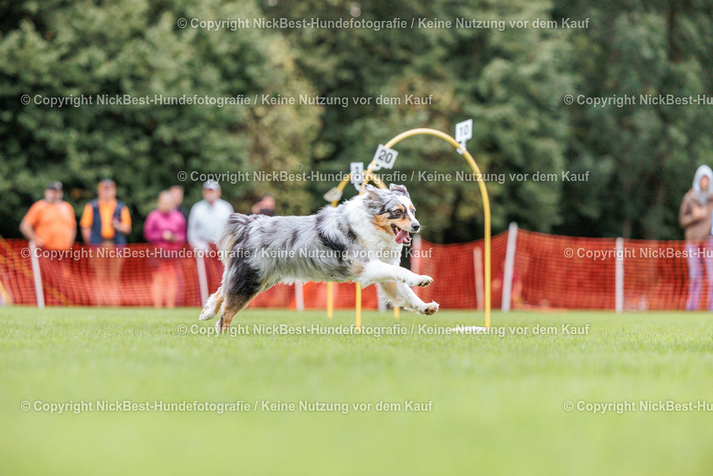 BSP Hoopers-H2 Tag2-2026-Nickbest-Hundefotografie-TuS Komet Arsten e.V.-4067 | Dein Hund! Dein Moment! Deine Erinnerungen! Hundefotografie in Bremen Blumenthal. Ich fange die besonderen Momente deines Vierbeiners ein – ob Indoor mit Blitzanlage oder in der freien Natur. Sicher dir dein Moment und dein Termin für eure Erinnerungen.
