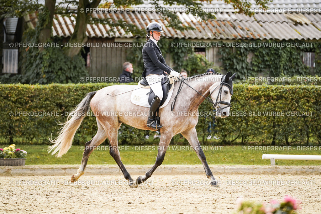 DSC01456 | Pferdegrafie