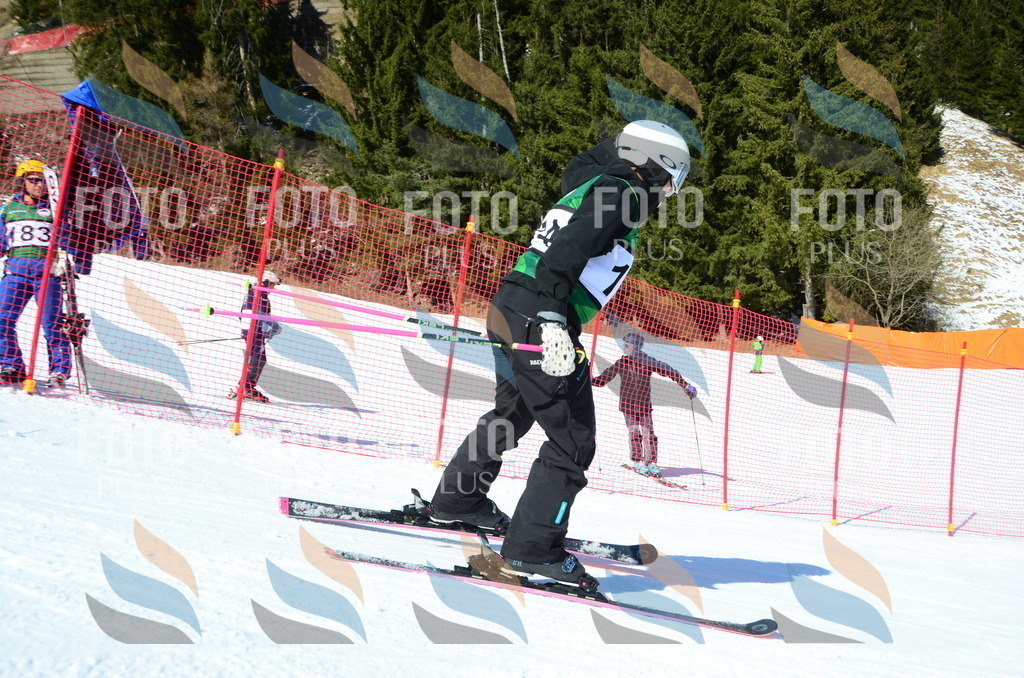 C6340 | holidayphoto