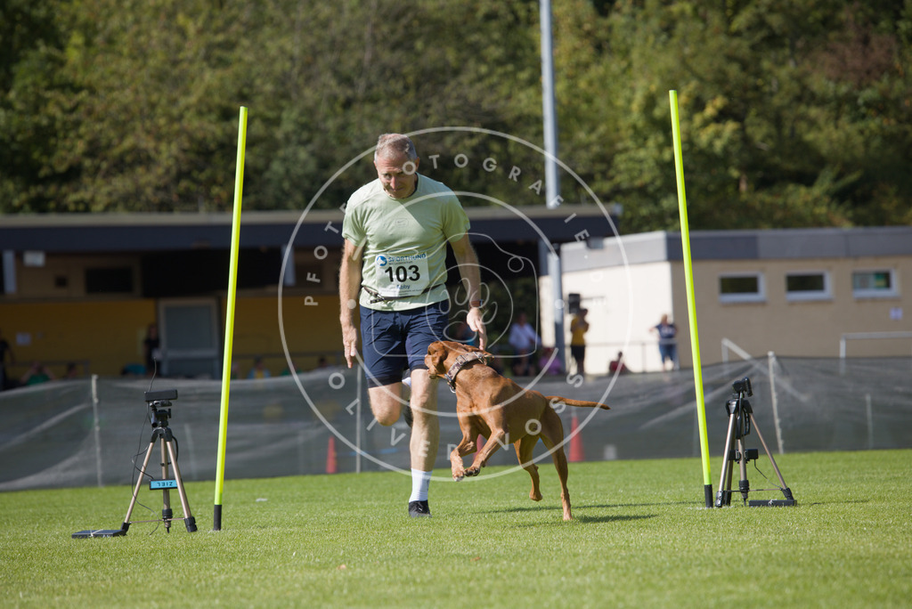 0L8A2608 | Hundefotografie, Tierfotograf, Pfotenfotografie, Fotoshooting Hund, Hunde Portrait, Hundesport, Hundeportraits, Heideshooting, Hunde, Sportfotograf, Hundefotograf, Turnierhundsport, THS,  - Realisiert mit Pictrs.com