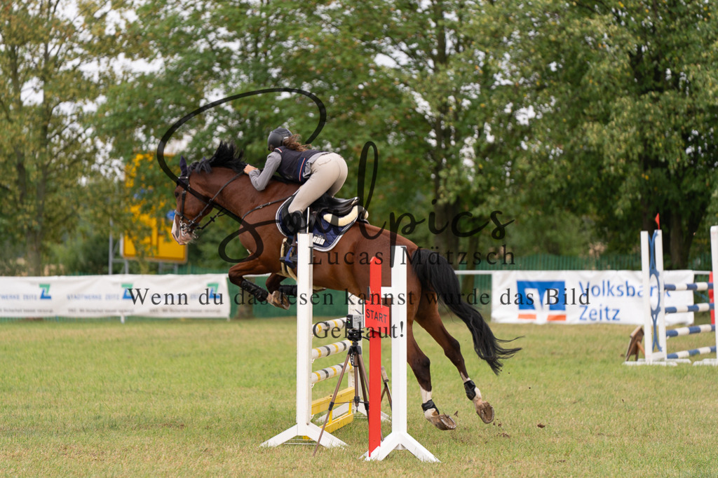 A7506143 | Turnier/Reitfotograf
