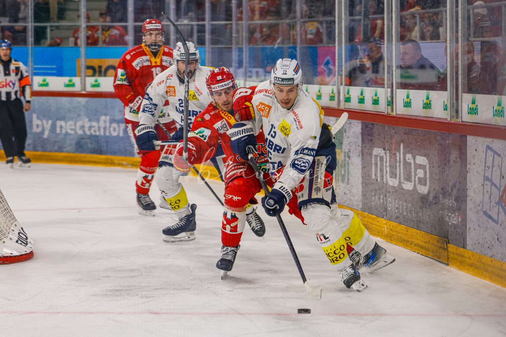 EHCB vs HCAP 20260115_wb-4271 | Sportbilder, Sportfotograf, Hochzeits- und Eventfotografin, Flugshows, Portraits und Tiershooting, Aviation, Downhill, Nationalleague, Swissleague, International