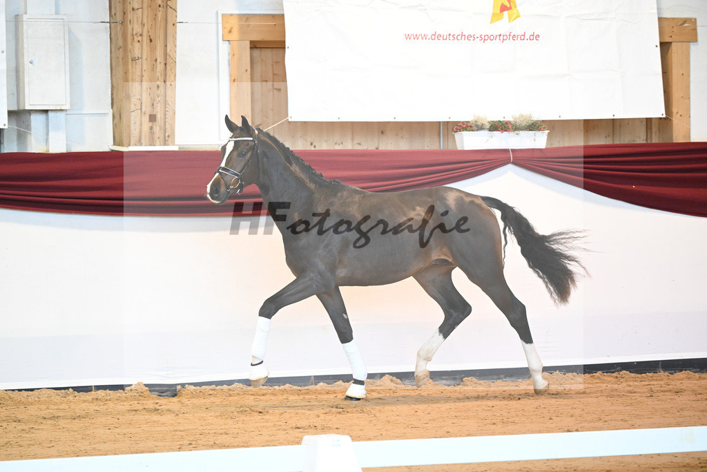 Kat-Nr. 31 v. Ferrantino_Lehner_66221829 | hf-fotografie - Realisiert mit Pictrs.com