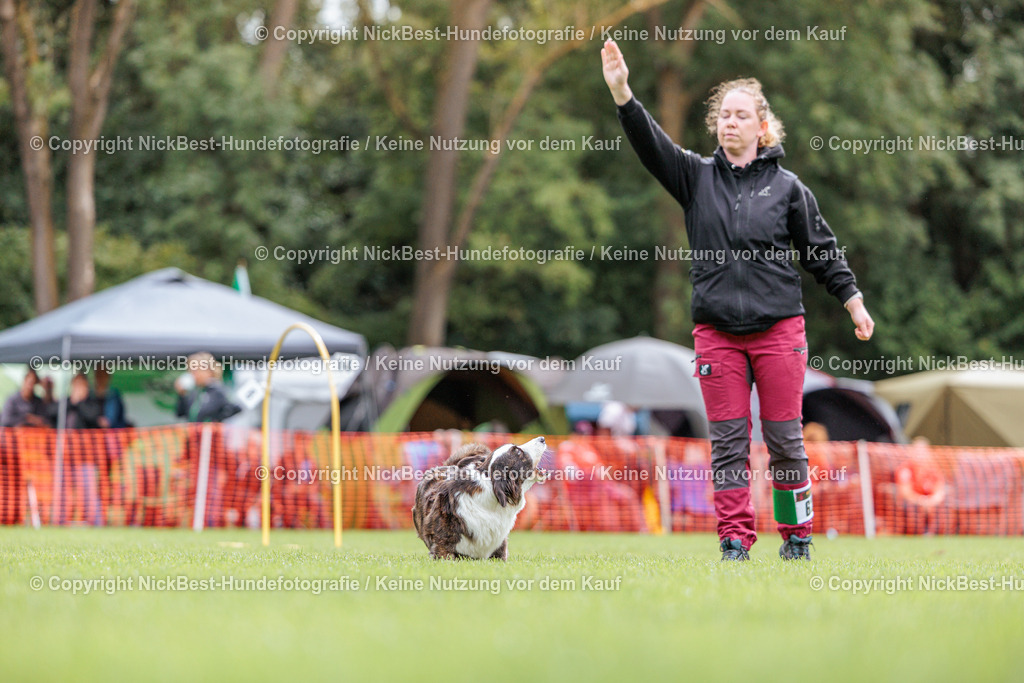 BSP Hoopers-H2 Tag2-2026-Nickbest-Hundefotografie-TuS Komet Arsten e.V.-5259 | Dein Hund! Dein Moment! Deine Erinnerungen! Hundefotografie in Bremen Blumenthal. Ich fange die besonderen Momente deines Vierbeiners ein – ob Indoor mit Blitzanlage oder in der freien Natur. Sicher dir dein Moment und dein Termin für eure Erinnerungen.
