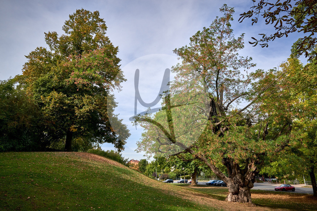 Grünes Wolfenbüttel - Lessingstadt Wolfenbüttel in Niedersachsen, Deutschland | Meurer Shop - Realisiert mit Pictrs.com