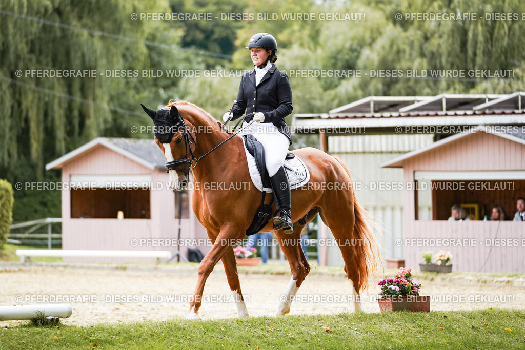 DSC00963 | Pferdegrafie