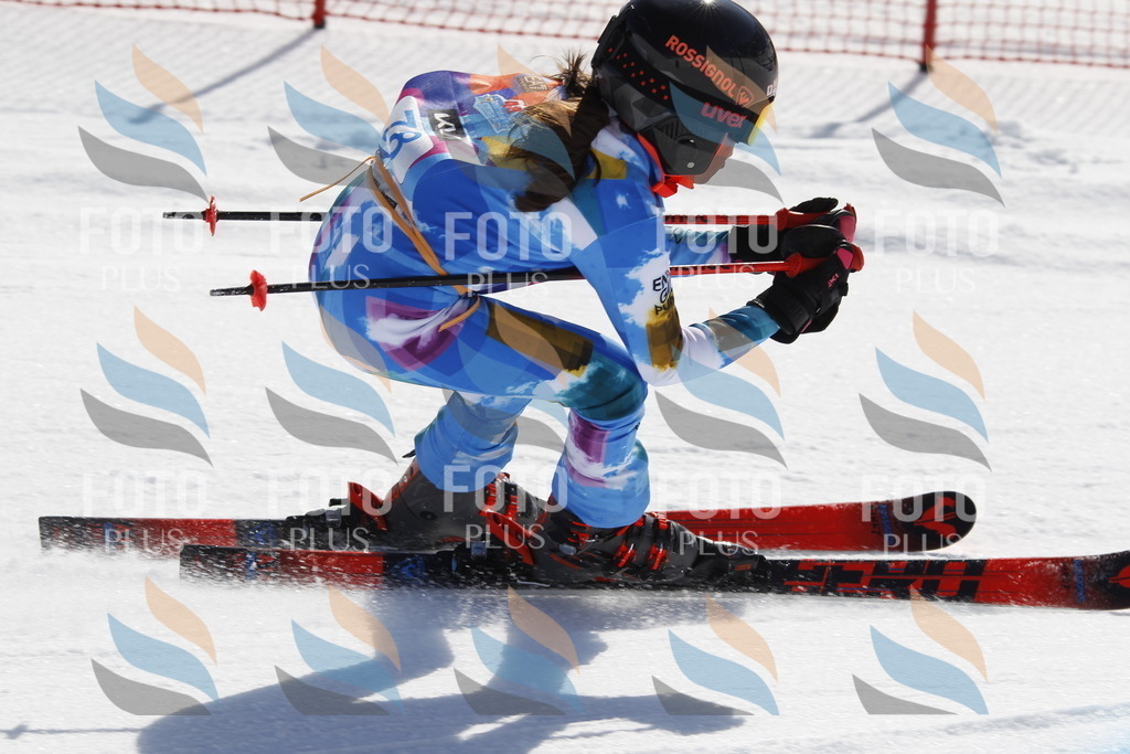 _U3G9973 | holidayphoto