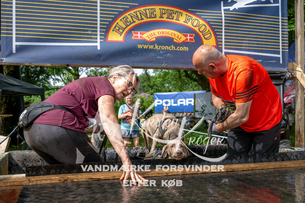 1031_ZZ91061 | kk-dogfotos