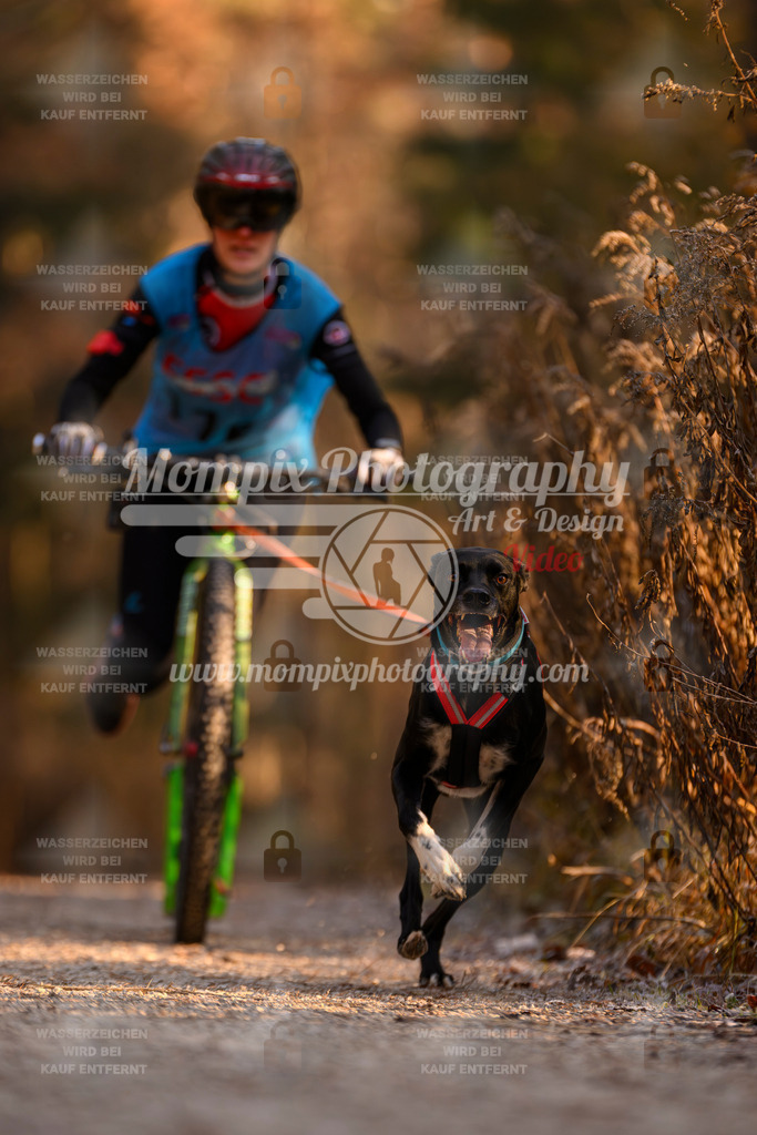 MompixPhotography_DM_AKDM_SO_2025_Scooter-168 | PayLife