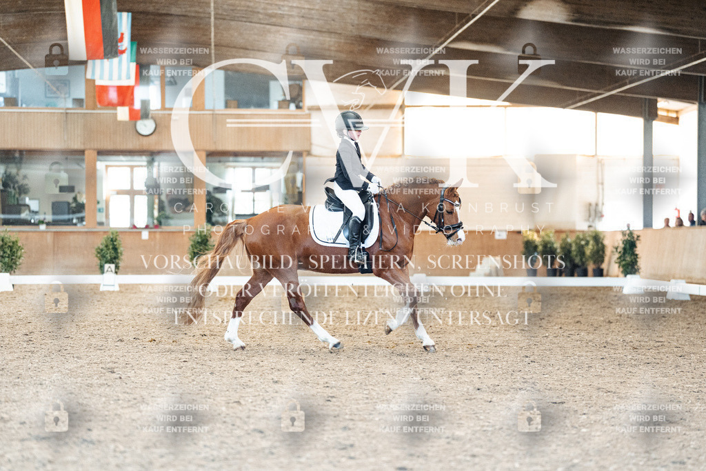 CK908201 | Turnierfotografie Pferdefotografie Trier Rheinland-Pfalz Pferdesport Reitsport Tierfotografie Sportfotografie Pferdevideo Pferdevideografie Equestrianvideography equestrianphotography  - Realisiert mit Pictrs.com