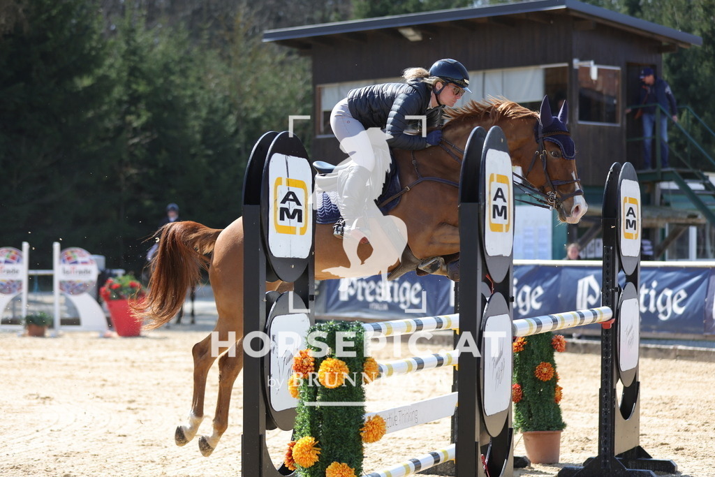 0P6A1387 | Willkommen bei Brunnmayr - Design & Fotografie – Ihrem Spezialisten für Reitturniere und Pferdeveranstaltungen in Oberösterreich, Salzburg und Bayern! Seit über 17 Jahren sind wir leidenschaftlich dabei.