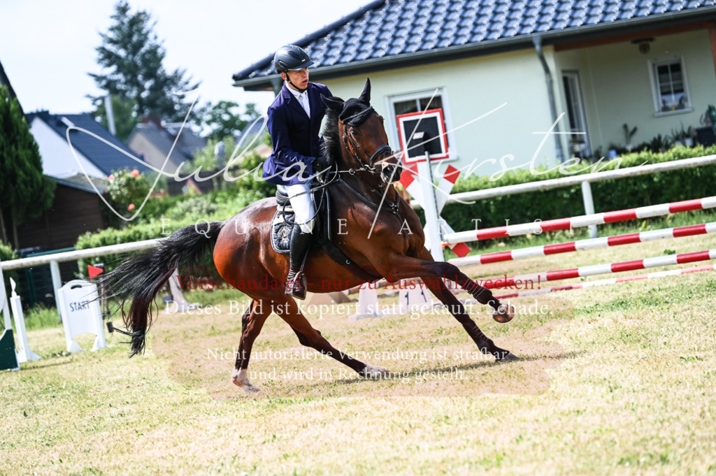 DSC_8957 | Pferde- und Turnierfotografie in Westsachsen. Pferdeportraits, Auftragszeichnungen und intuitive Kunst.