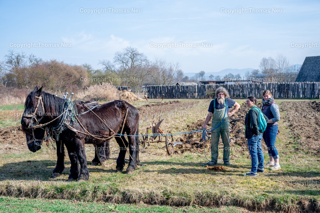 Lauresham_11_DSC_5074 | ble, Lauresham, Saisoneröffnung,Pferde bei der Feldarbeit, ,, Bild: Thomas Neu
