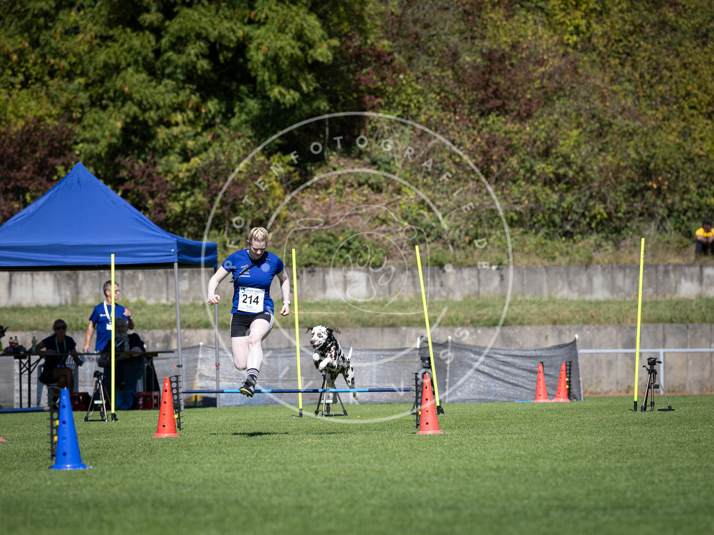 Pfotenfotografie_DV3A5235 | Hundefotografie, Tierfotograf, Pfotenfotografie, Fotoshooting Hund, Hunde Portrait, Hundesport, Hundeportraits, Heideshooting, Hunde, Sportfotograf, Hundefotograf, Turnierhundsport, THS,  - Realisiert mit Pictrs.com