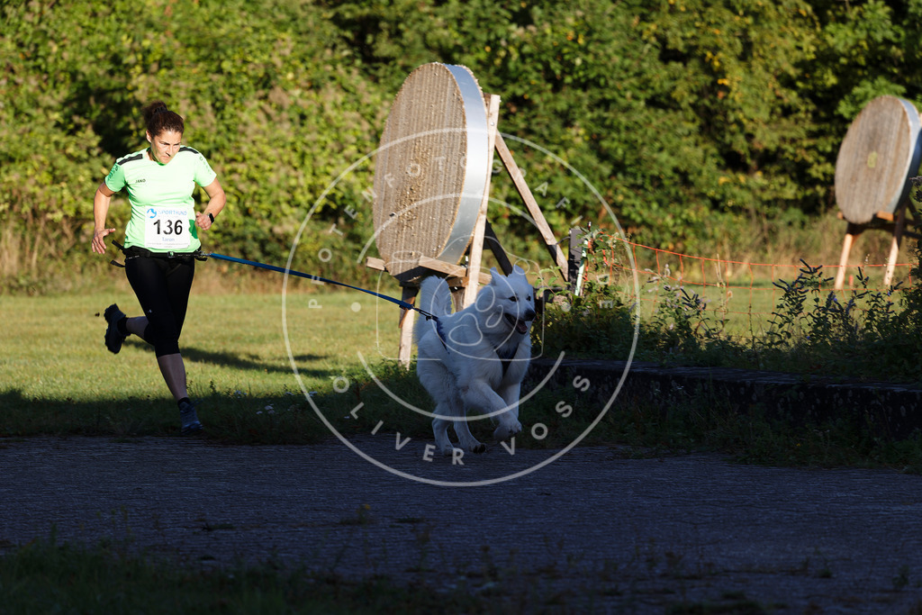 0L8A4804 | Hundefotografie, Tierfotograf, Pfotenfotografie, Fotoshooting Hund, Hunde Portrait, Hundesport, Hundeportraits, Heideshooting, Hunde, Sportfotograf, Hundefotograf, Turnierhundsport, THS,  - Realisiert mit Pictrs.com