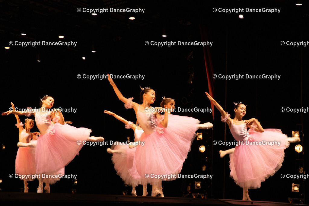 GPHY4680 | DanceGraphy - Realisiert mit Pictrs.com