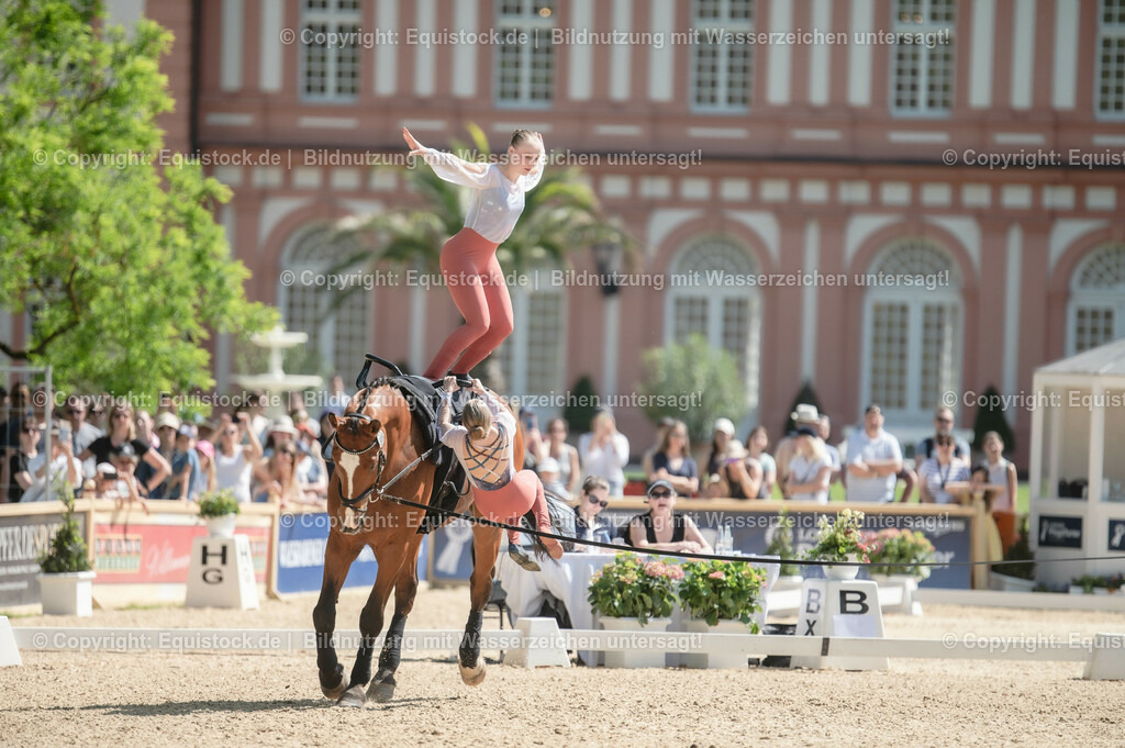20230528_Voltigieren_NASPA_0378 | equistock