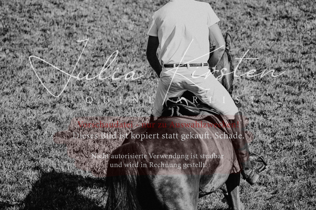 DSC_2281 | Pferde- und Turnierfotografie in Westsachsen. Pferdeportraits, Auftragszeichnungen und intuitive Kunst.