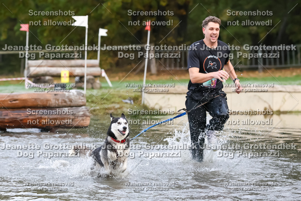 Dog Paparazzi - Strongdog 10-25-6211 | Dog Paparazzi Jeanette Grottendiek Fotografie & Videografie - Realisiert mit Pictrs.com