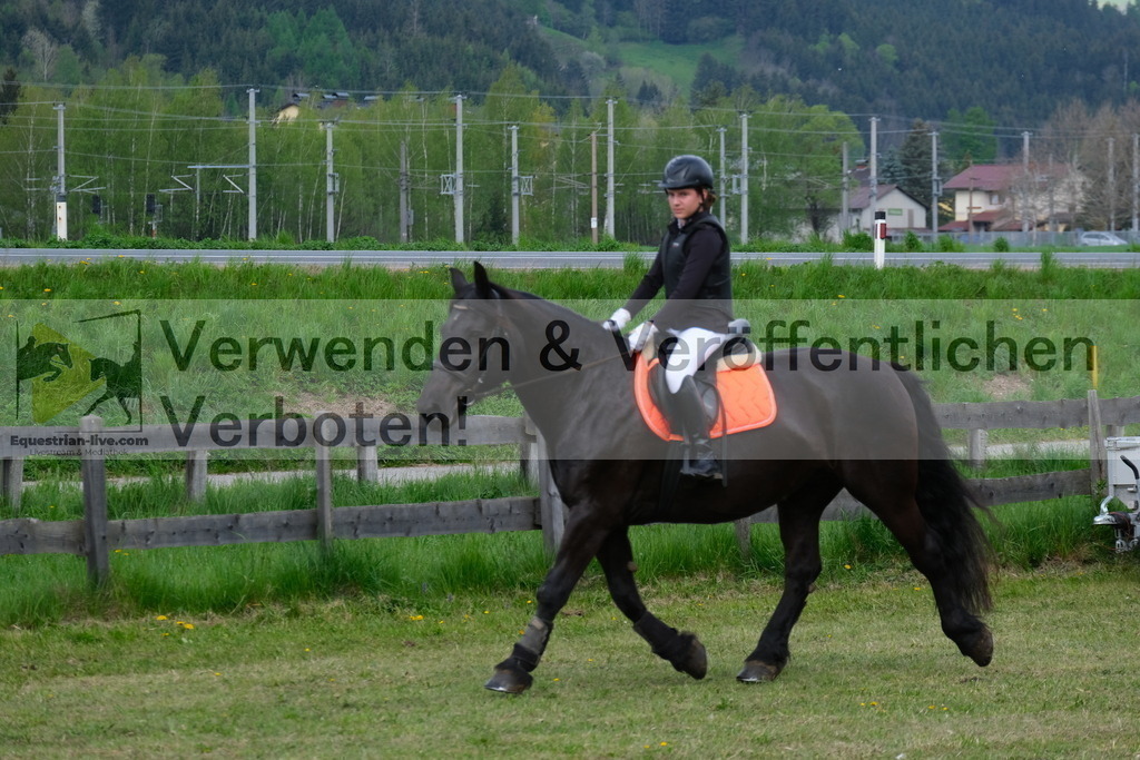 DSCF3880 | equestrian-live-com
