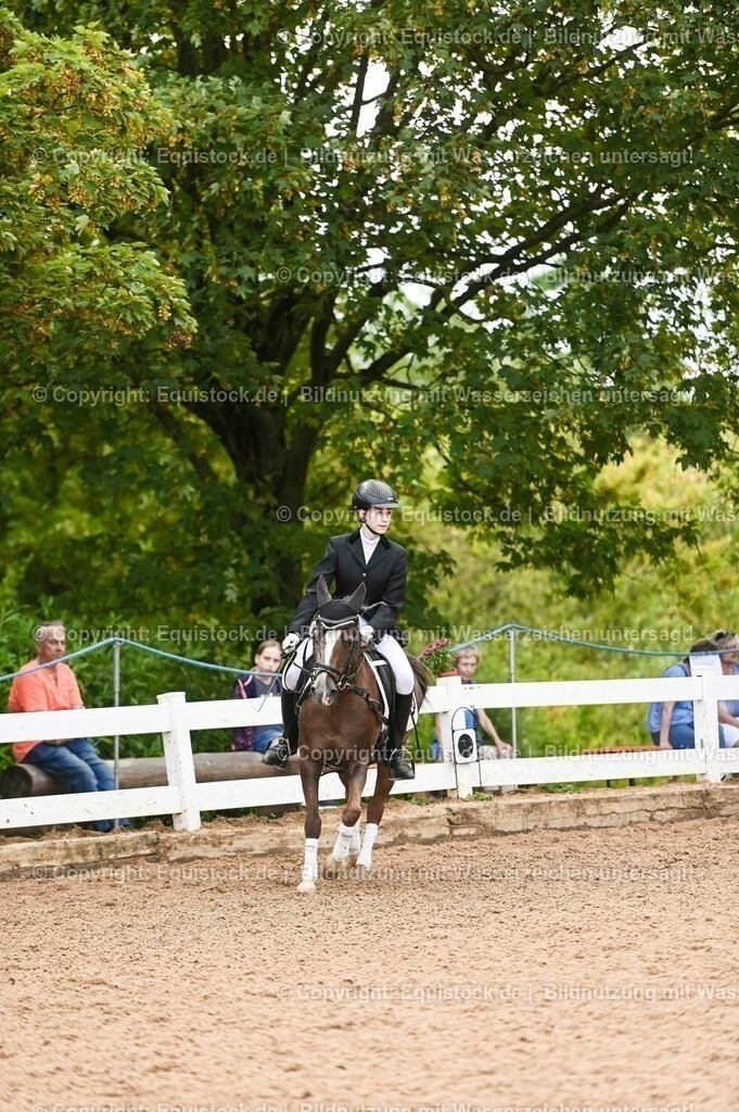 20230716_10-2_Reiter-WB Schritt - Trab - Galopp_0076 | equistock