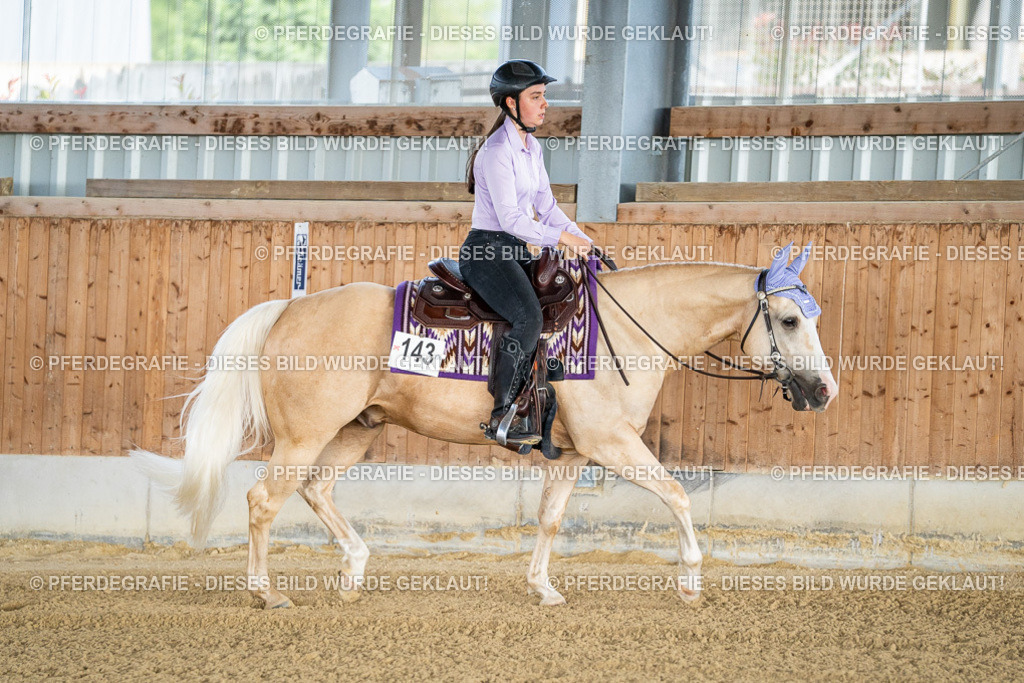 DSC07743 | Pferdegrafie