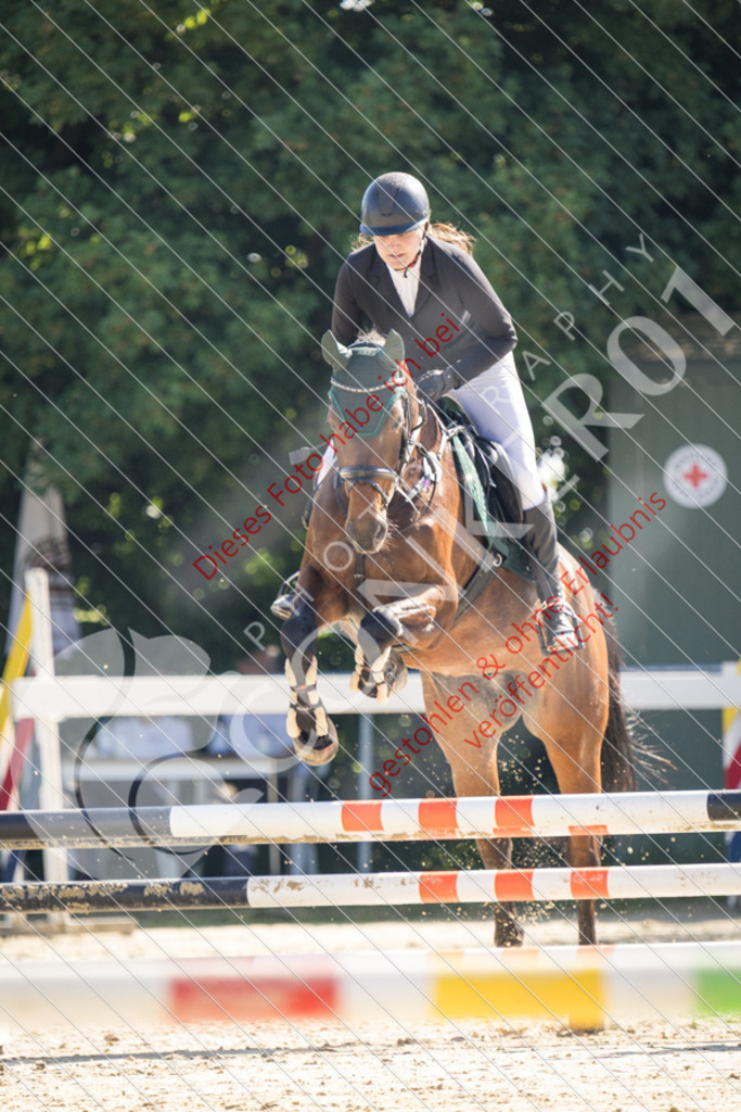 IMG_2747 | Sport-, Event- und Tierfotos in Profiqualität. Einfach auswählen, bestellen und herunterladen. Dein Moment – perfekt festgehalten.