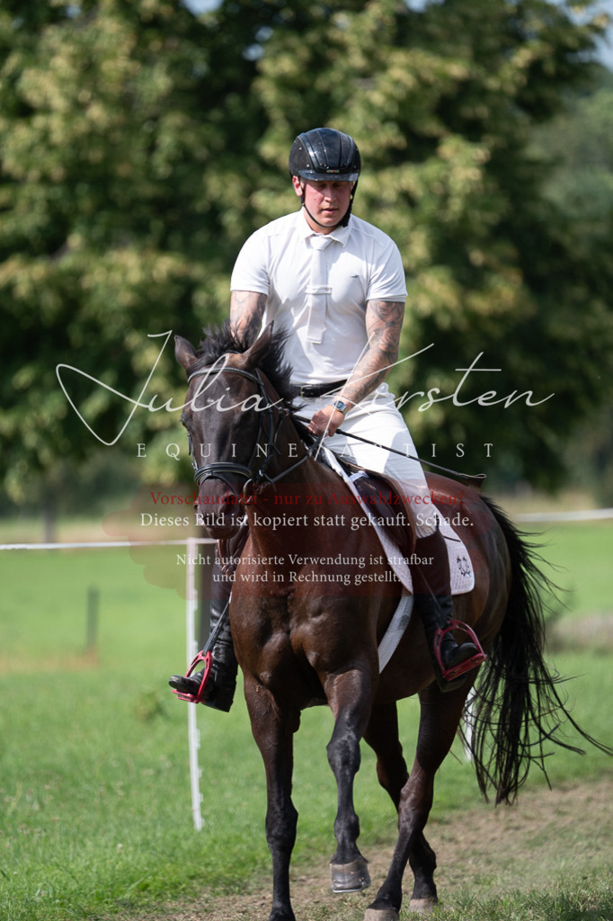 DSC_1003 | Pferde- und Turnierfotografie in Westsachsen. Pferdeportraits, Auftragszeichnungen und intuitive Kunst.