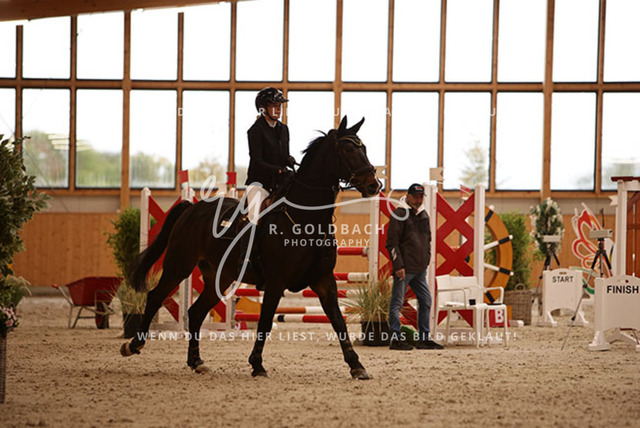 1J2A3590Anne Neumann_ Pokerface 40_ Kn425_ Hohen Wieschendorf_ Glantz | Foto- und Videografie für alles rund ums Pferd. Hochwertige Bilder und Videos vom Spring- und Dressurreiten, Voltigieren & mehr. Jetzt aktuelle Veranstaltungen und Preise im Shop ansehen. - Realisiert mit Pictrs.com