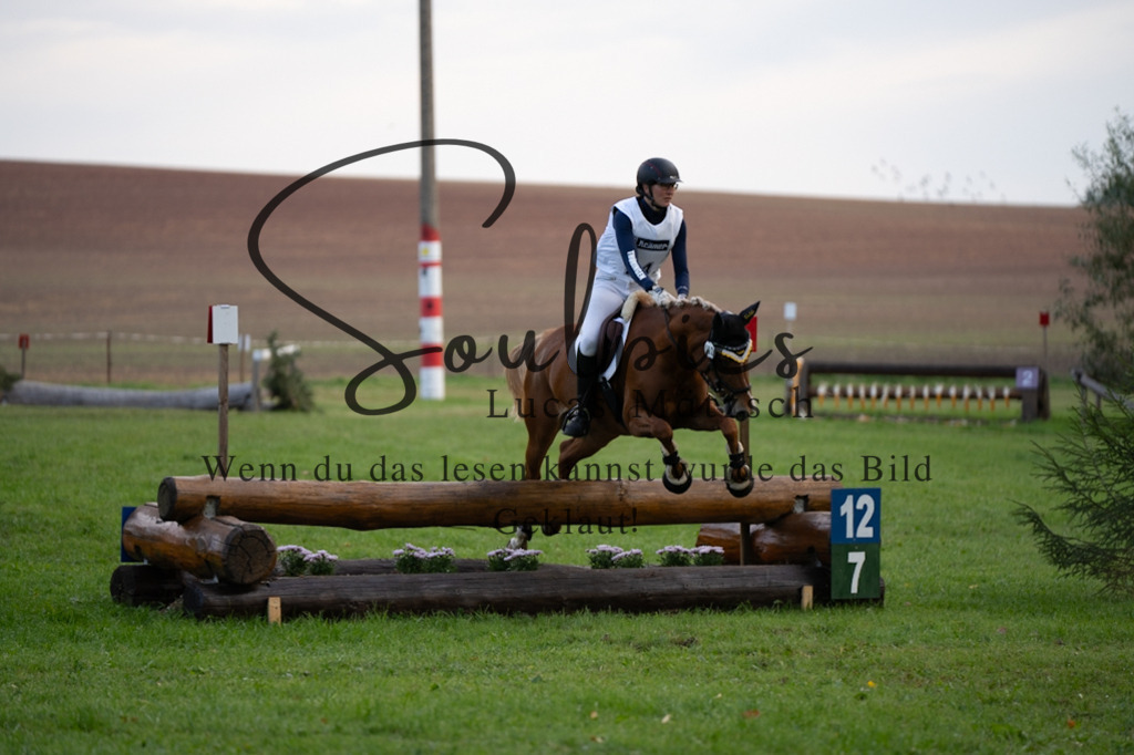 A7V02997 | Turnier/Reitfotograf
