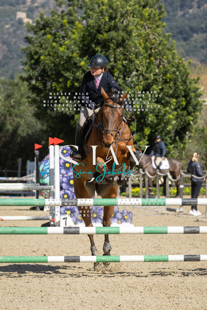 IMG_6507 | s-jay-photography - Realisiert mit Pictrs.com