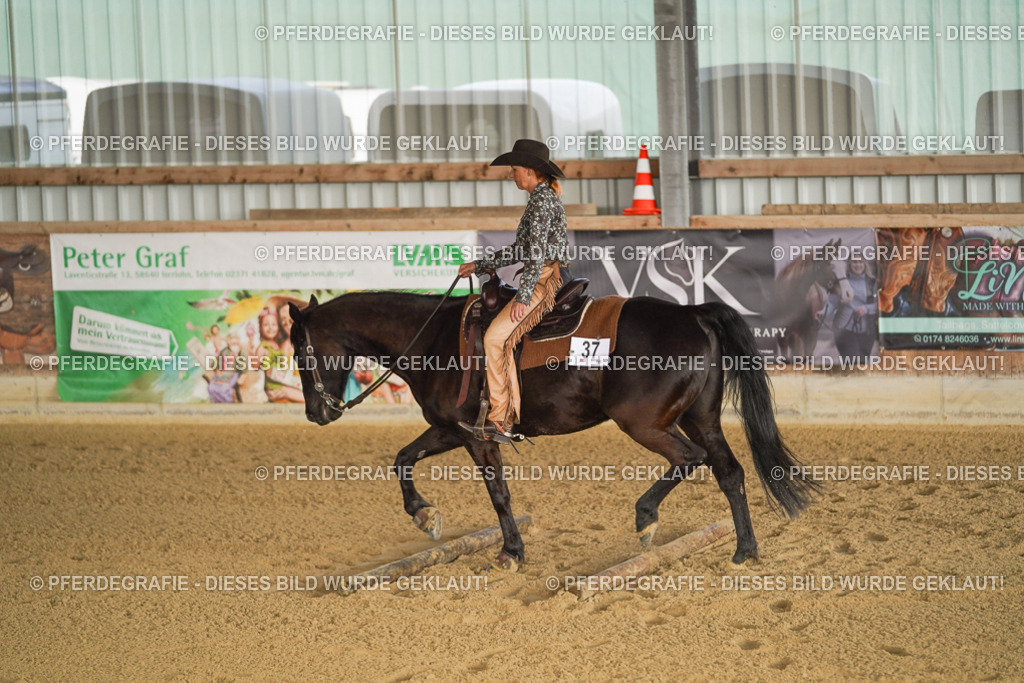 DSC01958 | Pferdegrafie