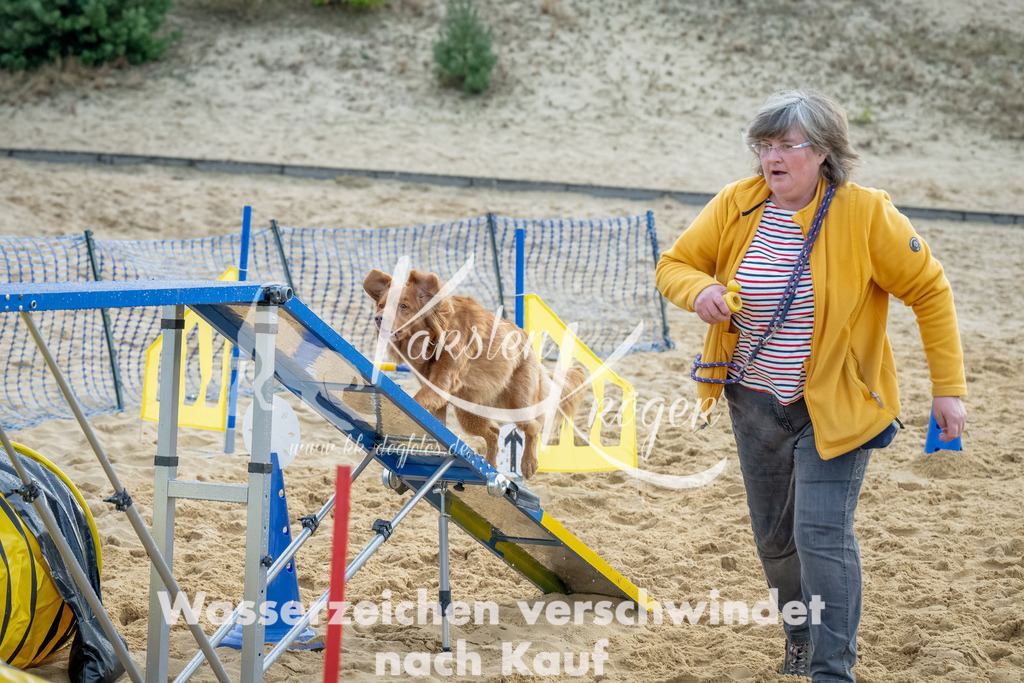 0911_ZZ91973-Bearbeitet | kk-dogfotos