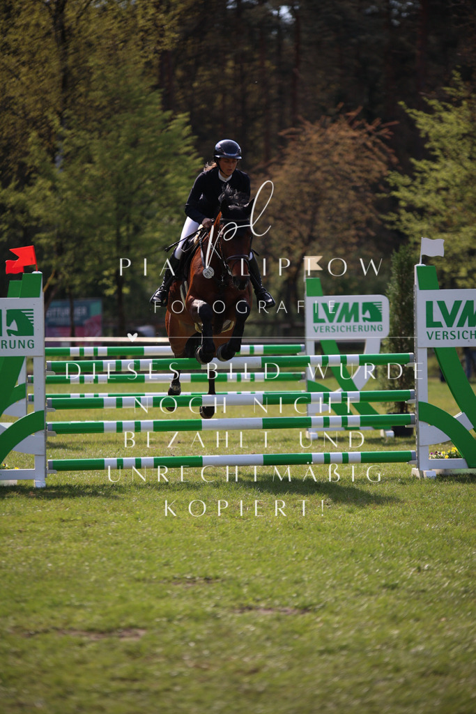 IMGT5852 | pl-fotografie