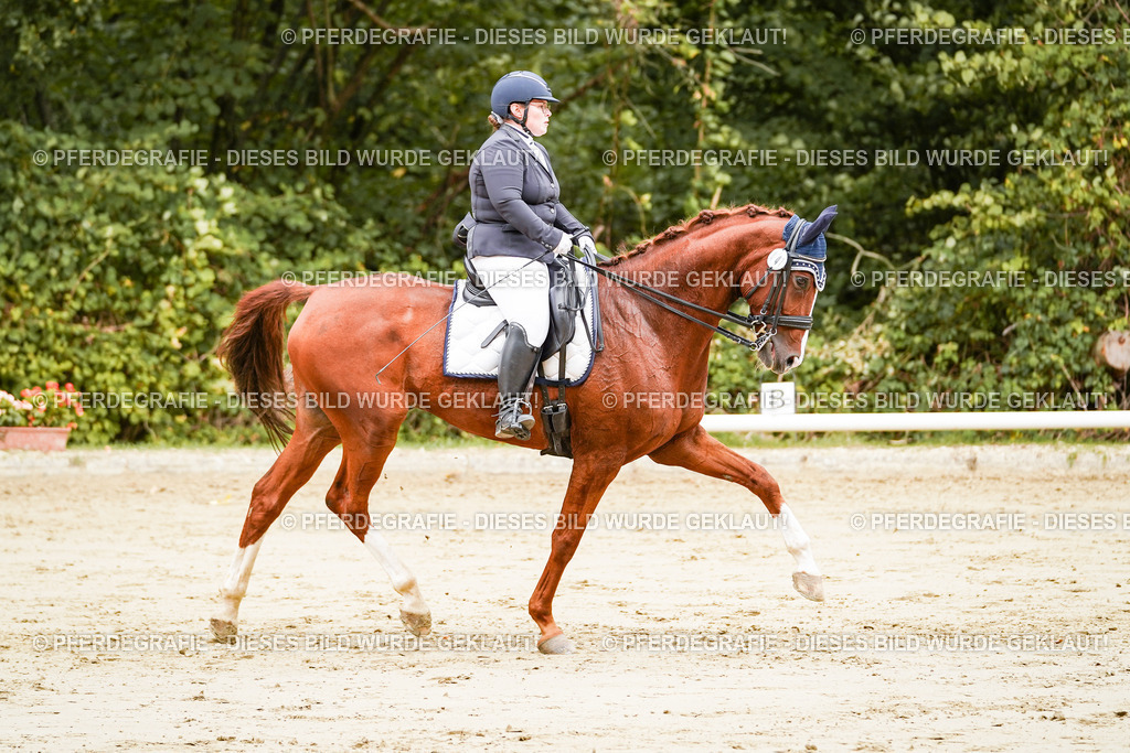 DSC03147 | Pferdegrafie