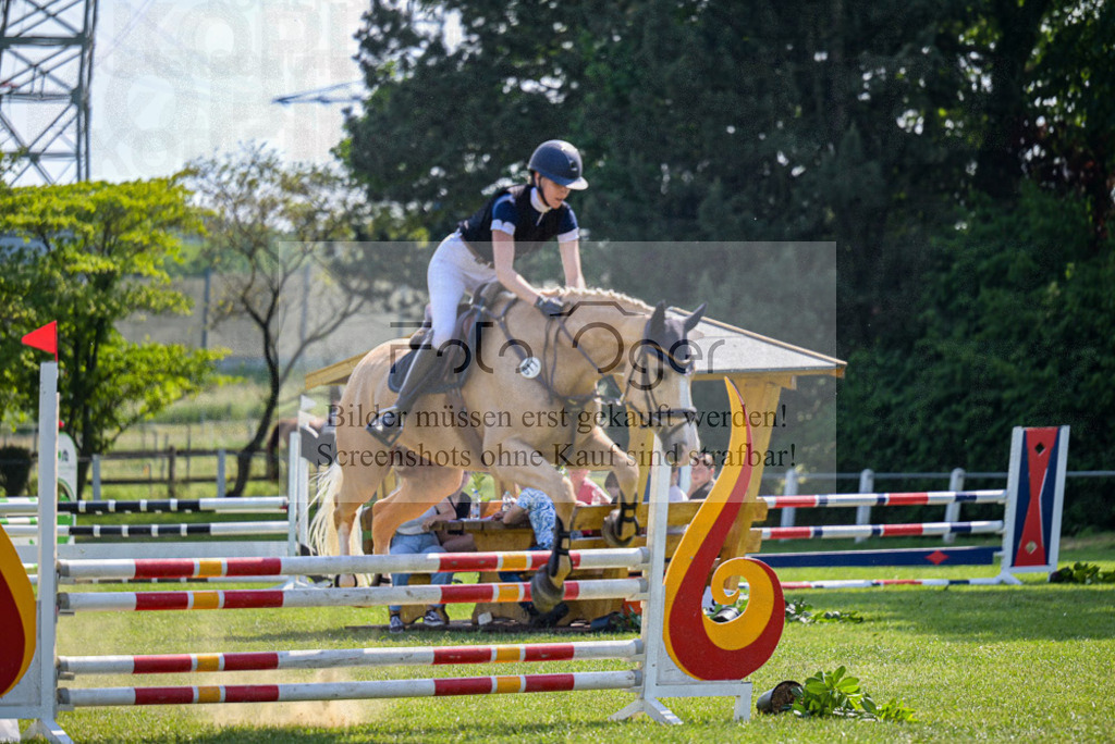 Reitturnier Voxtrup | Entdecke hochwertige Reitturnierfotos von Foto Oger. Professionell, emotional und authentisch – jetzt Lieblingsmomente im Shop bestellen.Deutschlandweite Turnierfotografie. - Realisiert mit Pictrs.com