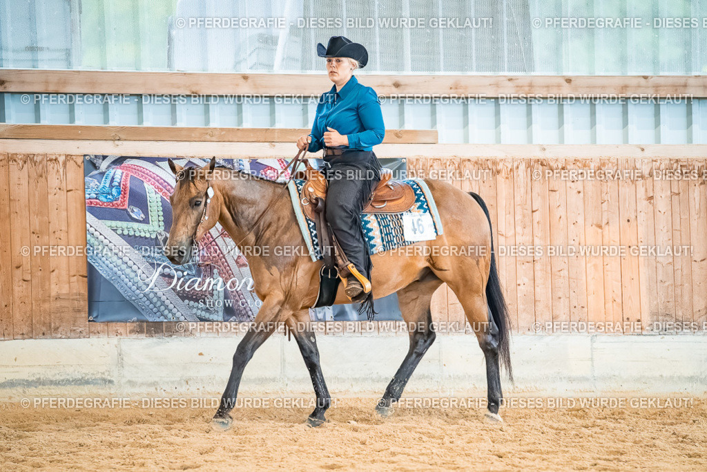 DSC00520 | Pferdegrafie