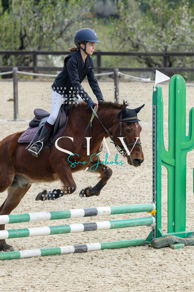 IMG_4717 | s-jay-photography - Realisiert mit Pictrs.com