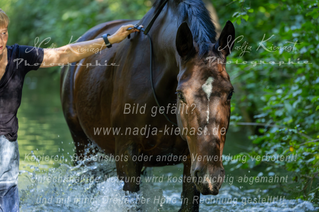 Auswahl_Photographie_Nadja_Kienast__IE_8565-Verbessert-RR | Ich biete Ihnen einzigartige und individuelle Fotoshootings mit Ihren Tieren.
In individuellen Coachings lernen Sie, wie sie von Ihrem Pferd, Ihrer Katze, Ihrem Hund oder einfach Ihrem persönlichen Lieblingstier eindrucksvolle Fotos machen können.