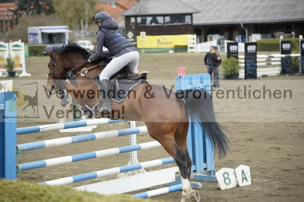 _DSC7172 | equestrian-live-com