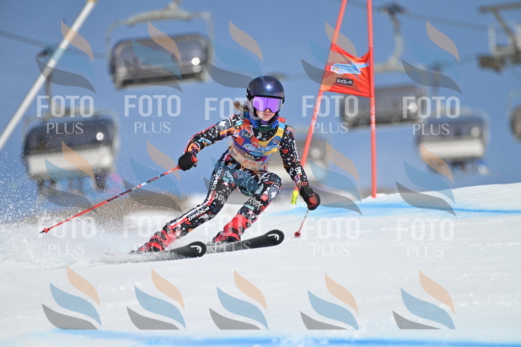 BGV_8958 | holidayphoto