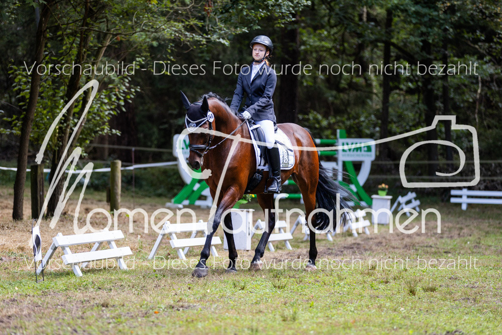 HB-Dressur-WB-088 | MomenTaufnahmen Pferdesportfotos