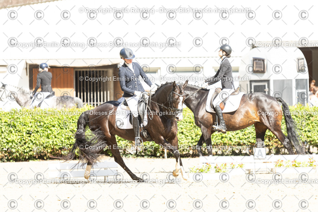 CL5A5989-2 | Emilia Reinking Fotografie - Realisiert mit Pictrs.com