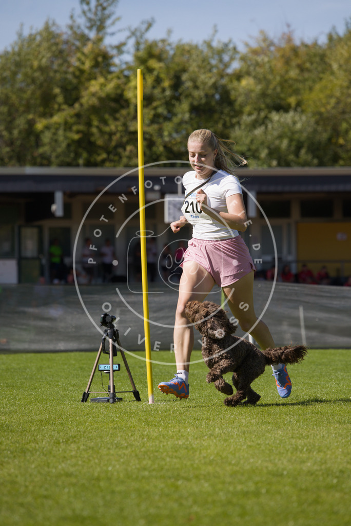 0L8A5865 | Hundefotografie, Tierfotograf, Pfotenfotografie, Fotoshooting Hund, Hunde Portrait, Hundesport, Hundeportraits, Heideshooting, Hunde, Sportfotograf, Hundefotograf, Turnierhundsport, THS,  - Realisiert mit Pictrs.com