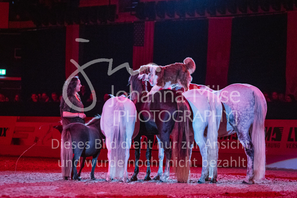 241102_Oldenburg_Show-340 | Deine schönsten Turniermomente als professionelle Fotos! Entdecke hochwertige Pferdesport-Fotografie im Online-Shop. Jetzt Fotos finden & bestellen!