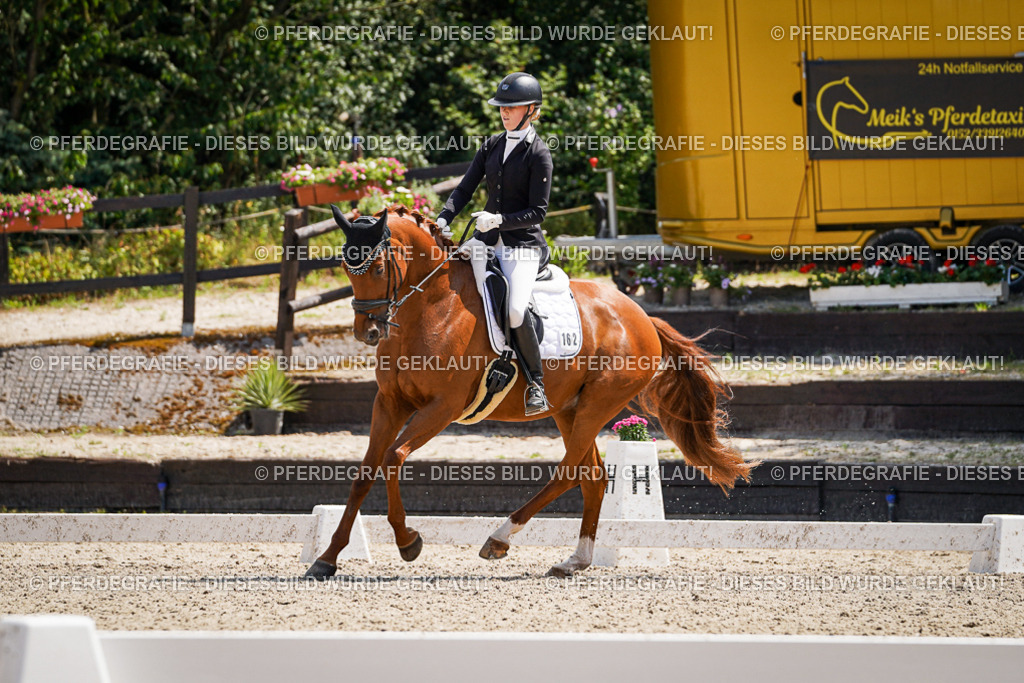 DSC00892 | Pferdegrafie